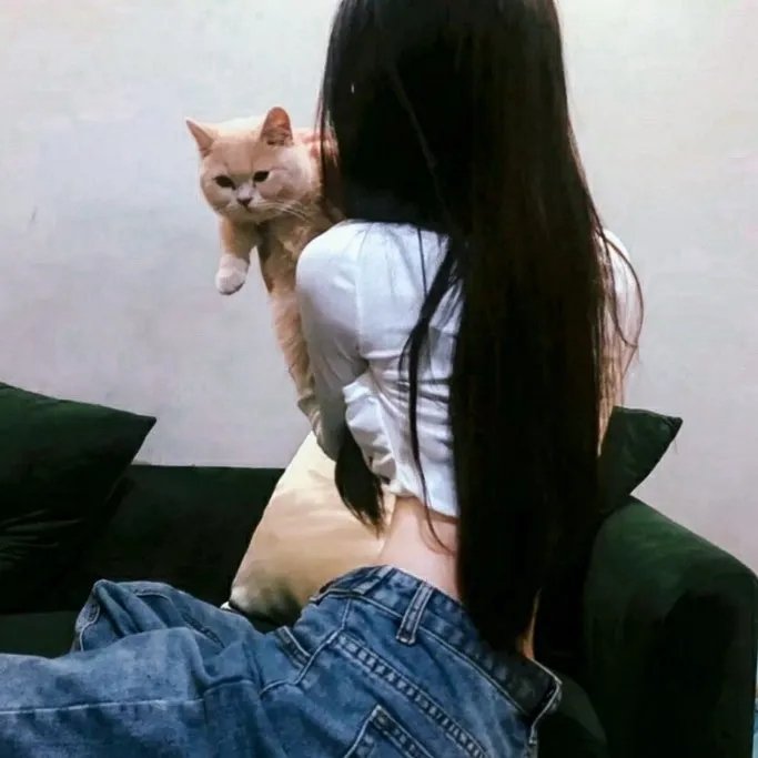 西格弗里德